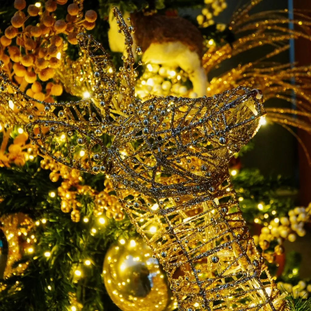 hoteisrio 1766062800 3789789970342098197 6268521108