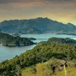 cover news v4 1774359315156