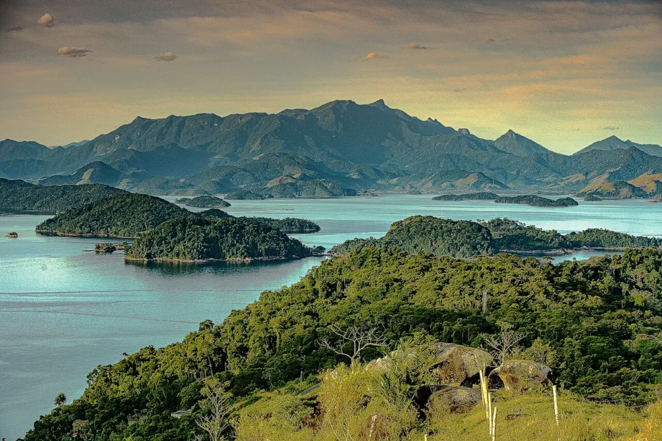 cover news v4 1774359315156