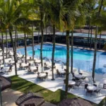 portobello 1 1 696x389 1