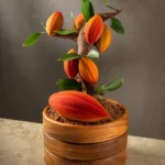 uploaded media 0 1774362831156