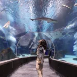 AquaRio