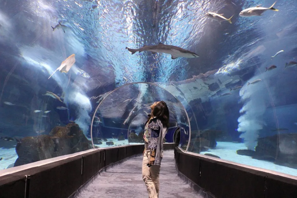 AquaRio