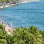 com faturamento recorde de r 239 bilhoes operadoras de turismo registram o maior valor da historia