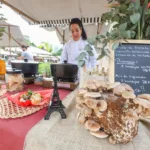 feirafrancesa