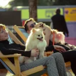 Publico com caes em area livre durante o Festival Pet, evento gratuito que estreia no Rio de Janeiro no Parque Garota de Ipanema em outubro de 2026