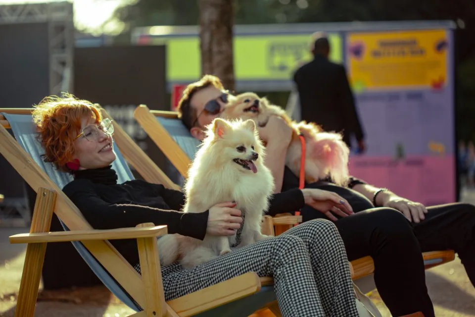 Publico com caes em area livre durante o Festival Pet, evento gratuito que estreia no Rio de Janeiro no Parque Garota de Ipanema em outubro de 2026