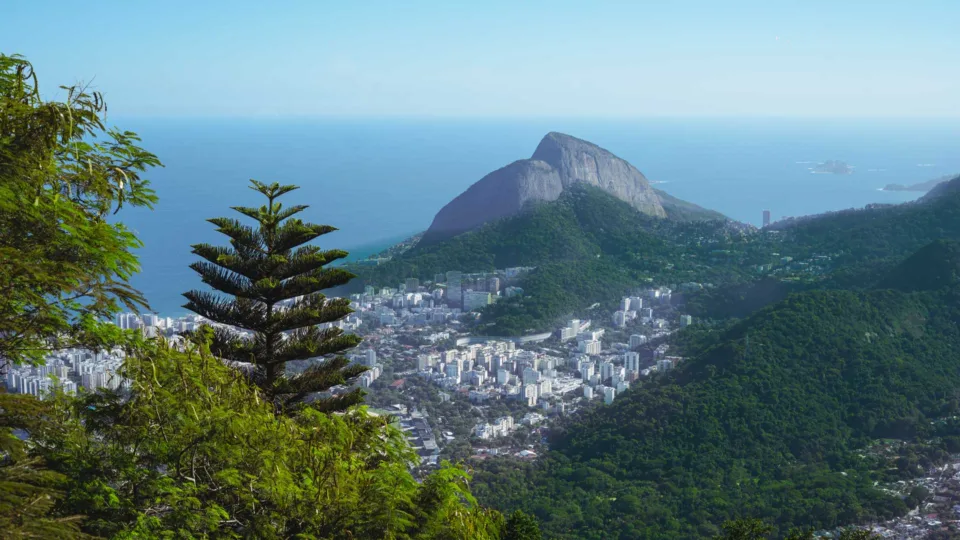 parque nacional da tijuca recebe trilha com montanhista que escalou o