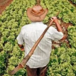 safra 2026 27 do estado do rio recebera r 563 milhoes em investimentos