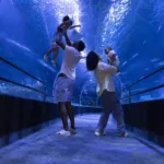 Visitantes no túnel do AquaRio, complexo turístico da Zona Portuária do Rio de Janeiro
