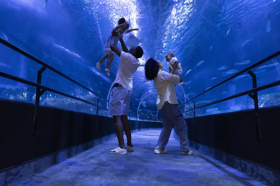 Visitantes no túnel do AquaRio, complexo turístico da Zona Portuária do Rio de Janeiro