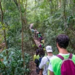 Trilha em meio à mata do Parque Nacional da Tijuca, no Rio de Janeiro, onde acontece a experiência gratuita de banho de floresta