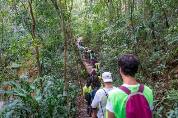 Trilha em meio à mata do Parque Nacional da Tijuca, no Rio de Janeiro, onde acontece a experiência gratuita de banho de floresta