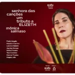 Arte oficial do show Senhora das Canções, de Mônica Salmaso