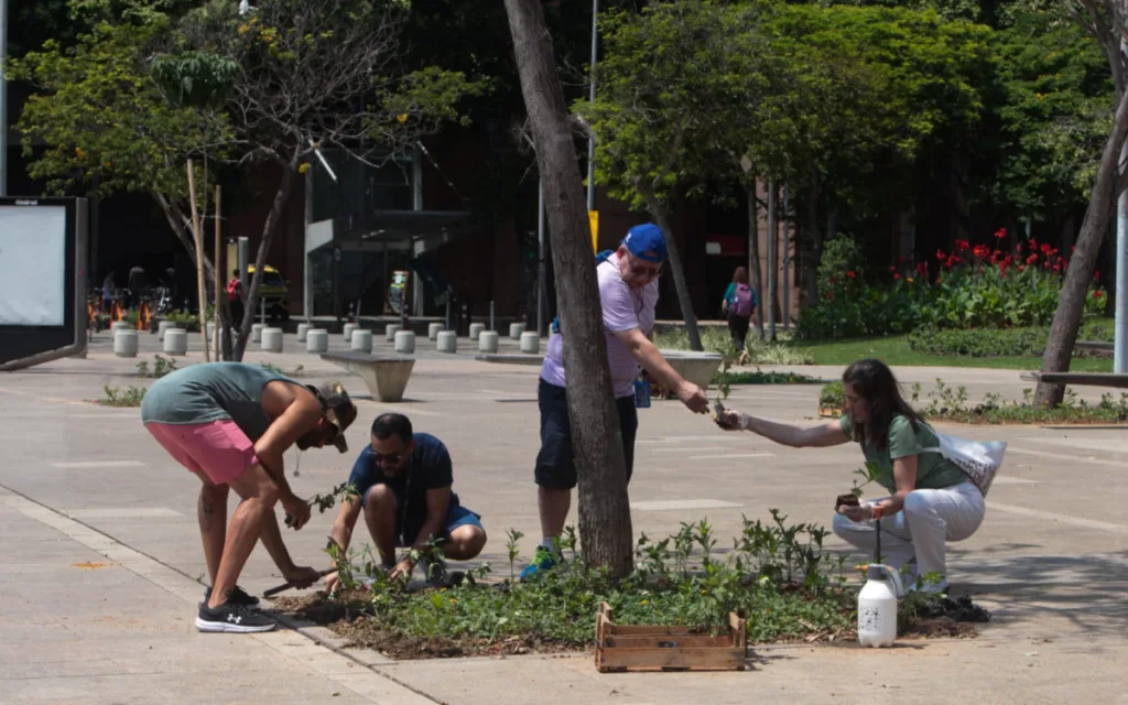 Revitalização paisagística na Praça Mauá com plantio de mudas pelo Sesc e Senac RJ