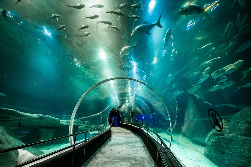Crianças observam peixes em tanque do AquaRio, aquário marinho na Gamboa, Zona Portuária do Rio de Janeiro